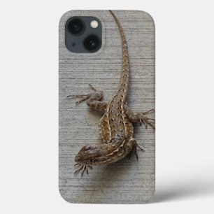 Cool Sidewalk Lizard iPhone 13 Hoesje