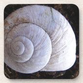 Cool snailshell bier onderzetter (Voorkant)