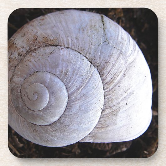 Cool snailshell bier onderzetter (Voorkant)