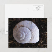 Cool snailshell briefkaart (Voorkant / Achterkant)