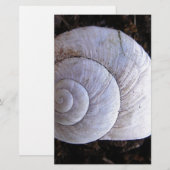Cool snailshell briefpapier (Voorkant / Achterkant)