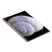 Cool snailshell notitieboek (Rechterzijde)