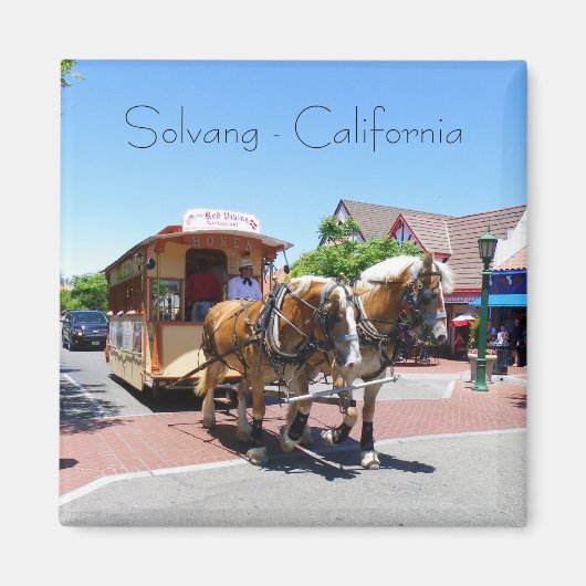 Cool Solvang Magnet ! (Devant)