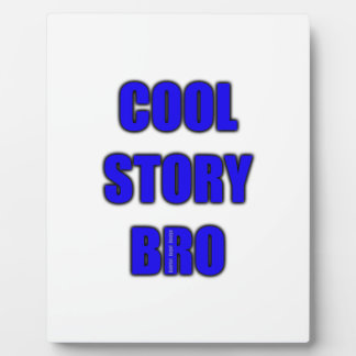 Cool Story Bro Fotoplaat
