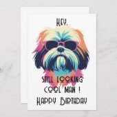 Cool Summer Shih Tzu Happy B-day kaart (Voorkant / Achterkant)
