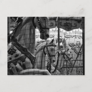 Cool, urban, moderne foto van paarden van carrouse briefkaart