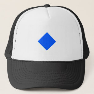 Cool Waves Cryptocurrency Coin Sign. Trucker Pet