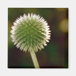 Cool Wereldbol Thistle Magnet Magneet