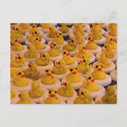 Cool Yellow Rubber Ducks Photo Funny Briefkaart (Voorkant)
