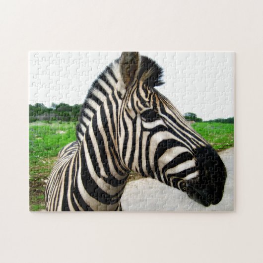 Cool Zebra Photography Legpuzzel (Horizontaal)