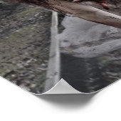 Cool Zombie Girl Poster (Hoek)