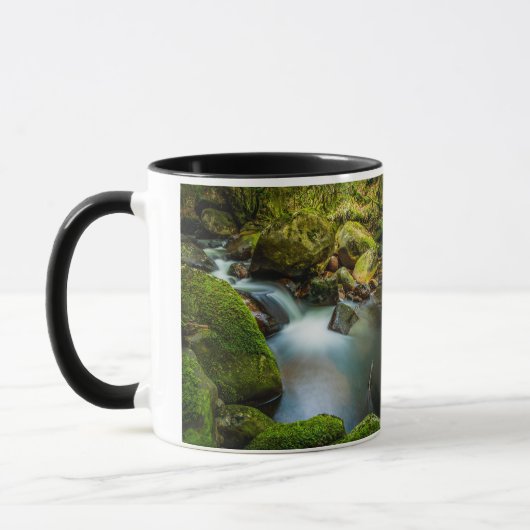 Coolalingo Watervallen Mok: Sereniteit in Wicklow Mok (Links)