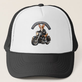 Coole Biker Chihuahua Hond Rijdt op Motorfiets Vra Trucker Pet