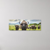 Coole Buffalo canvasprint! Canvas Afdruk (Voorkant)