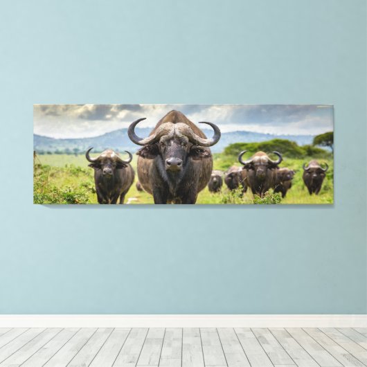 Coole Buffalo canvasprint! Canvas Afdruk (Insitu (Houten vloer))