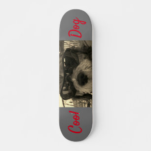 Coole Hond Met Zonnebril Skateboard