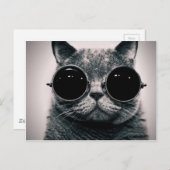 coole kat! briefkaart (Voorkant / Achterkant)