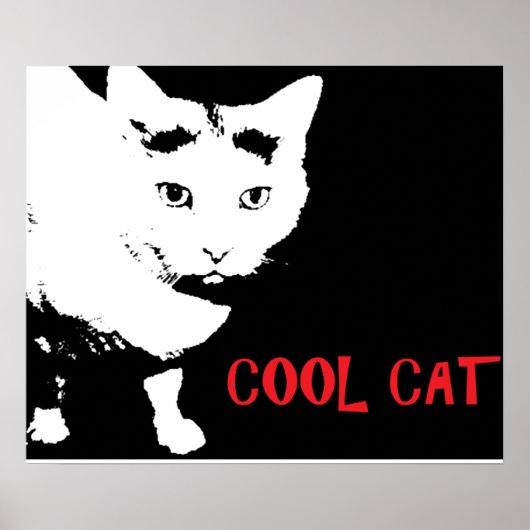 COOLE KAT POSTER (Voorkant)