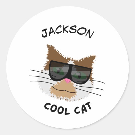 Coole Kat Ronde Sticker (Voorkant)