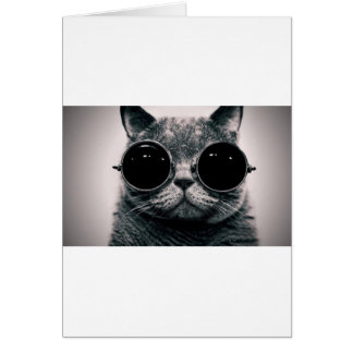coole kattenkool met schoppen