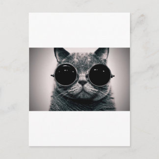 coole kattenkool met schoppen briefkaart