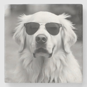 Coole Labrador met zonnebril – Grappig hondenontwe Stenen Onderzetter