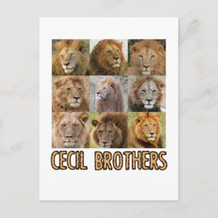 coole lion-design briefkaart