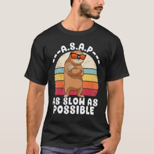 Coole luiaard zo langzaam als mogelijk retro vinta t-shirt