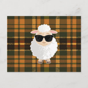 Coole Schapen Zonnebril Bruin Groen Schotland Cute Briefkaart