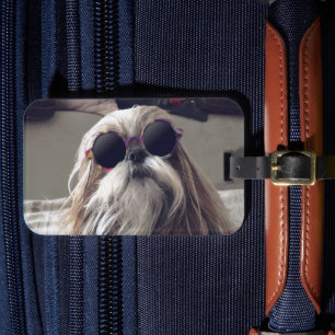 Coole Shih Tzu lang haar vintage zonnebril foto Bagagelabel