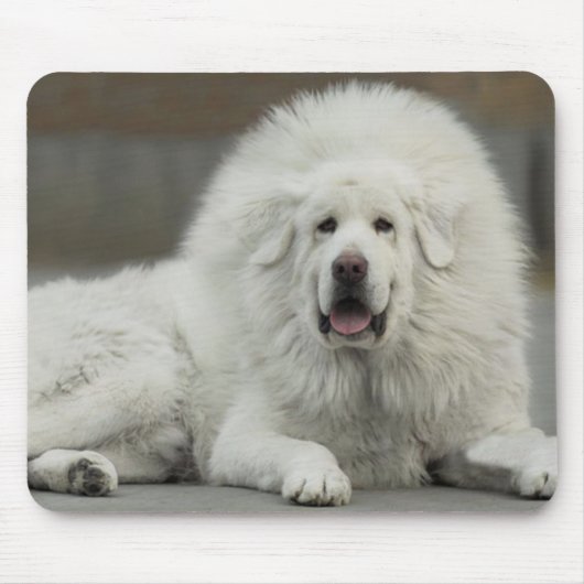 coole White Tibetan Mastiff Muismat (Voorkant)