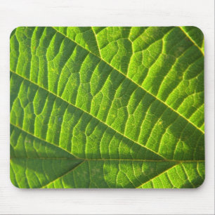Cooles grünes Blattmuster Muismat