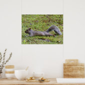 Cooling Off Poster (Keuken)