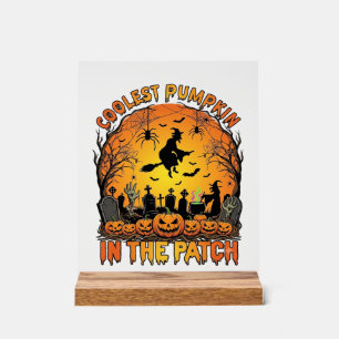 Coolste Pompoenveld Halloween Heks Spinnen Graf Acryl Bord