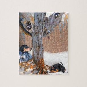 Coon Dog Hunt Legpuzzel