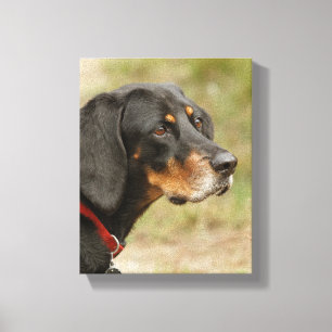 Coon hound - Gracie Lou Canvas Afdruk