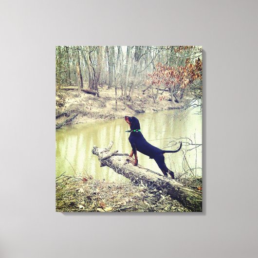 Coon hound sur la toile de rivière (Recto)