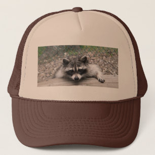 Coon Pet, Pet Racoon Ball