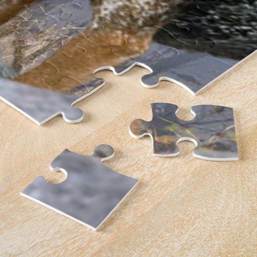 Coon Traped in een boom-puzzel Legpuzzel (Zijkant)