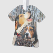 Coonhound de marcheur de Treeing (devant)