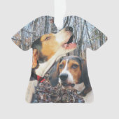 Coonhound de marcheur de Treeing (devant)