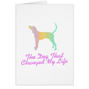 Coonhound de marcheur de Treeing