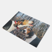 Coonhound de marcheur de Treeing dans le tapis de (Incliné)