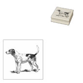 Coonhound Hondenras Rubberstempel (Gestempeld)