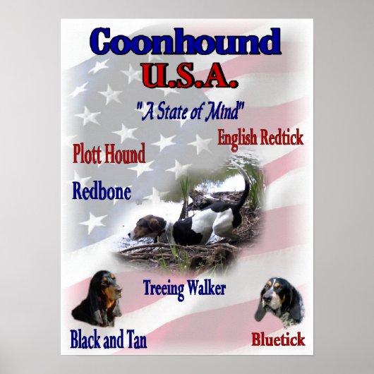 Coonhound Lovers Gifts Poster (Voorkant)
