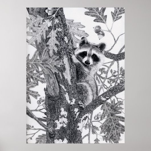 Coonie Poster (Voorkant)