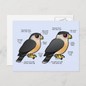 Coop v Sharpie Briefkaart (Voorkant / Achterkant)