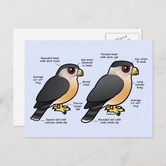 Coop v Sharpie Briefkaart (Voorkant / Achterkant)