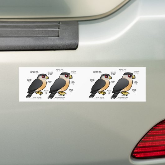 Coop v Sharpie Bumpersticker (Op auto)