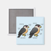 Coop v Sharpie Magneet (Voorkant / Achterkant)